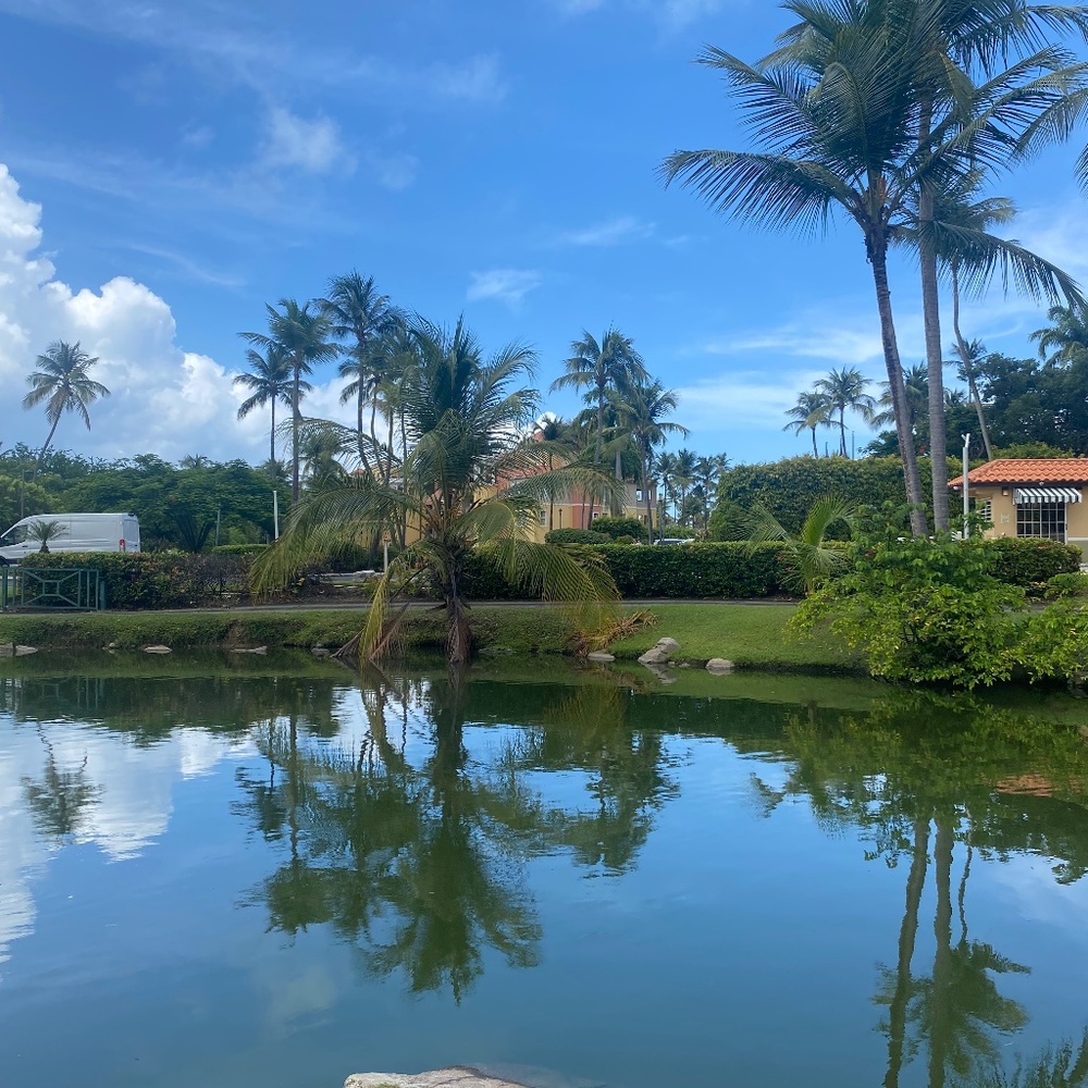 Meet your Posher, Victoria